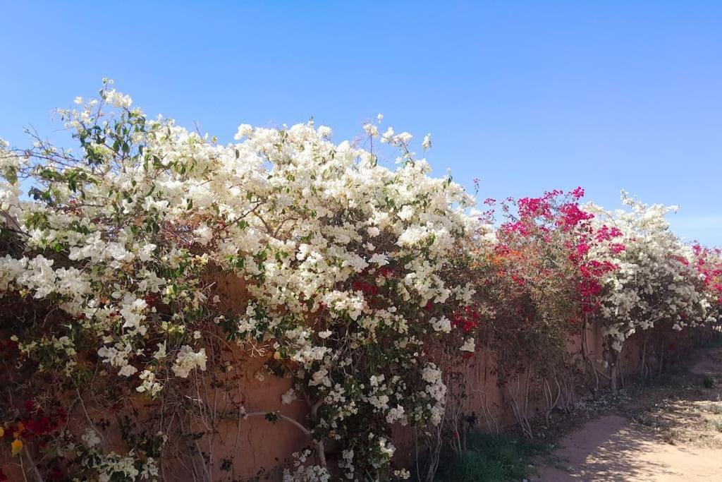 Villa Agora, Villa A La Campagne Proche Marrakech Sidi Abdallah Ghiat Dış mekan fotoğraf