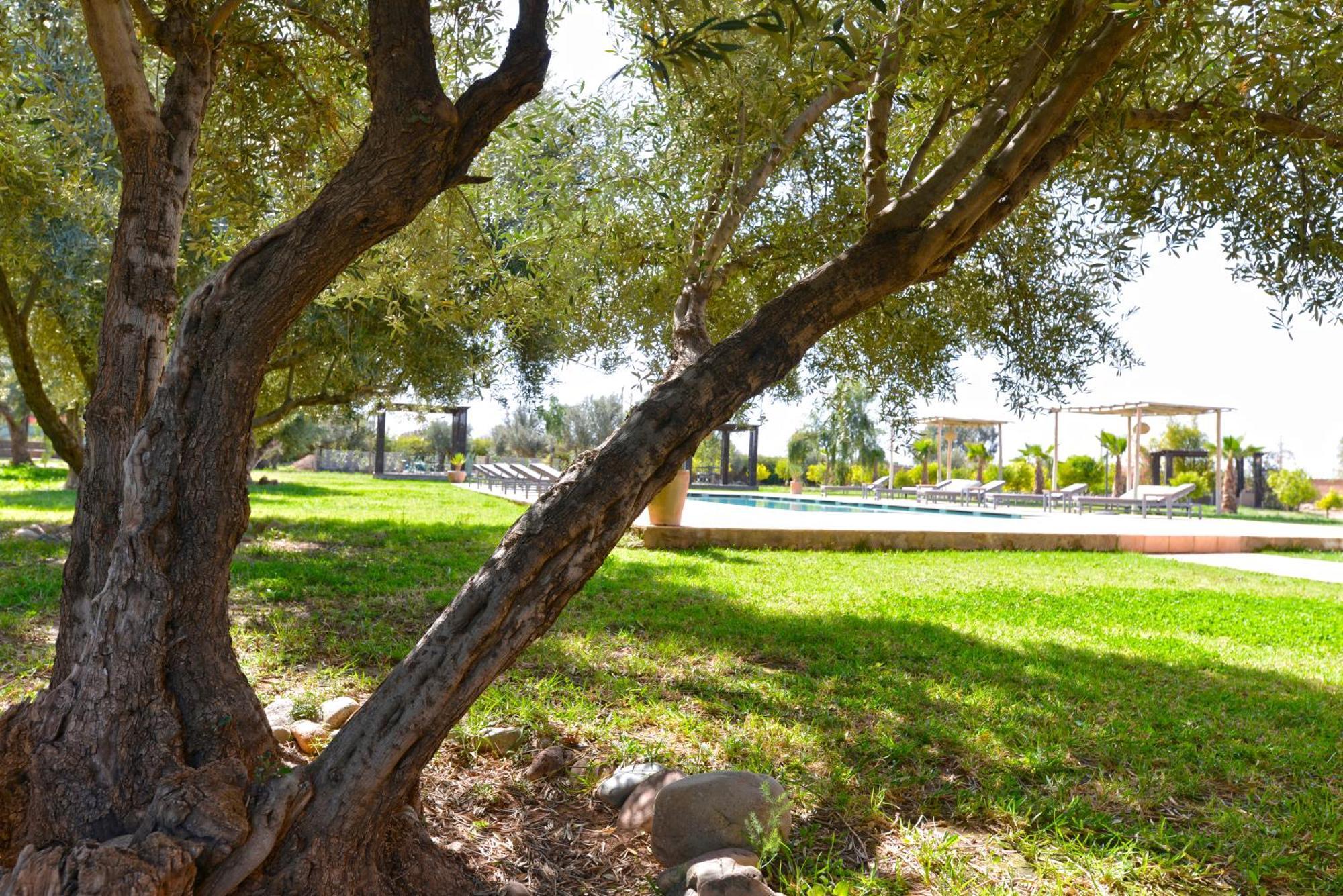 Villa Agora, Villa A La Campagne Proche Marrakech Sidi Abdallah Ghiat Dış mekan fotoğraf